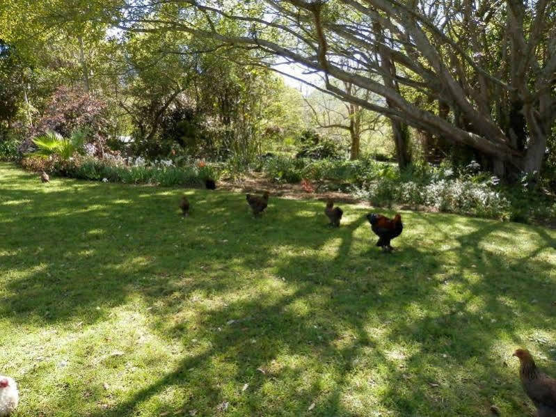 Braeside Guest House Swellendam Exterior foto